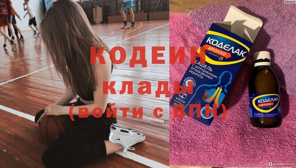 индика Вязьма