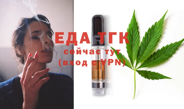 индика Вязьма