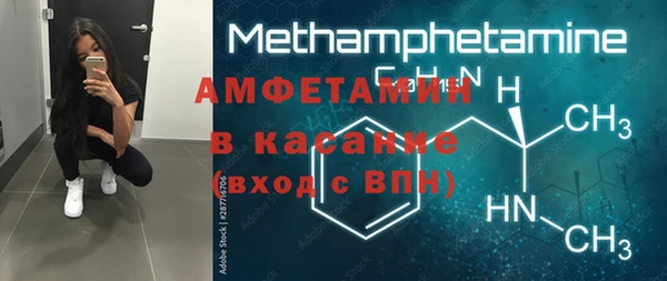 индика Вязьма