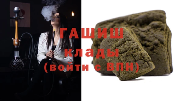 индика Вязьма