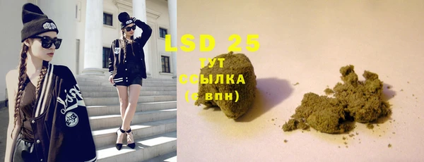 индика Вязьма