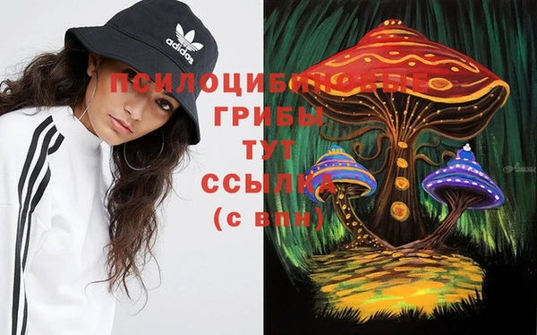 кокаин перу Вяземский