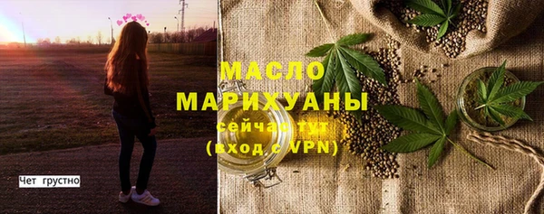 индика Вязьма