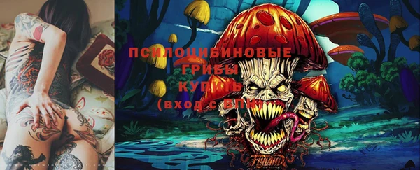 гашик Аркадак
