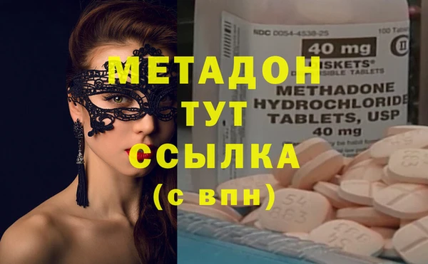 индика Вязьма