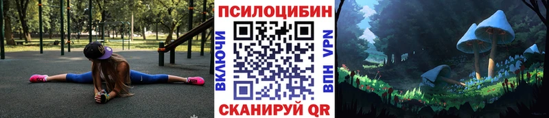 Купить  Богданович  Псилоцибиновые грибы прущие грибы 